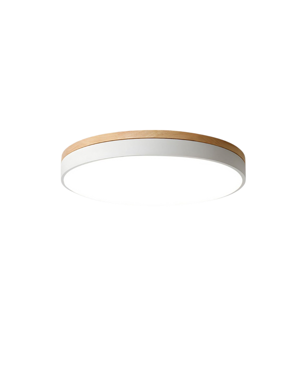 Nowoczesna Lampa Sufitowa z Inspirowanym Naturą Kształtem