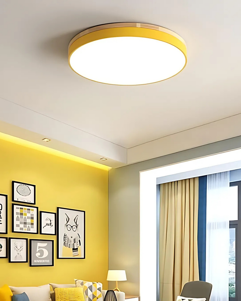 Nowoczesna Lampa Sufitowa z Inspirowanym Naturą Kształtem