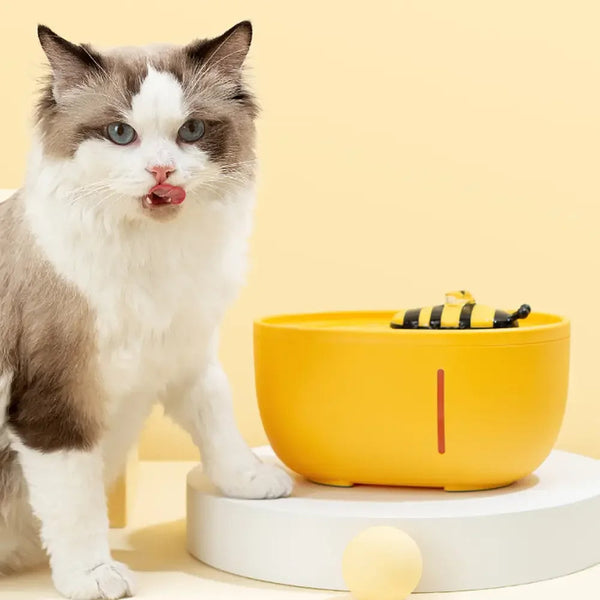 Świeża i czysta woda dostępna w każdej chwili!