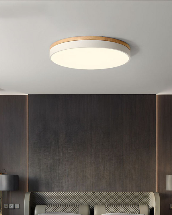 Nowoczesna Lampa Sufitowa z Inspirowanym Naturą Kształtem