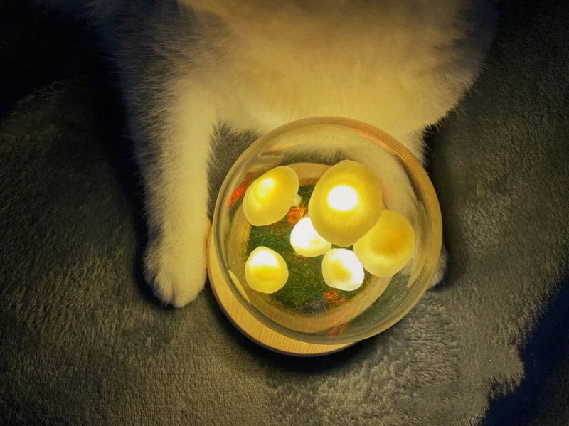 Domowa uprawa z nutą czarów