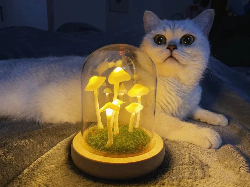 Domowa uprawa z nutą czarów