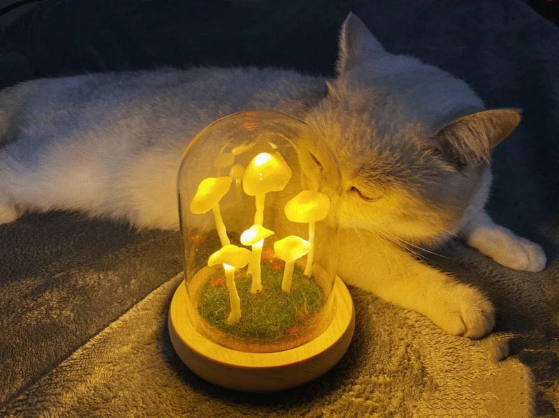 Domowa uprawa z nutą czarów