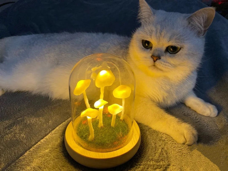 Domowa uprawa z nutą czarów