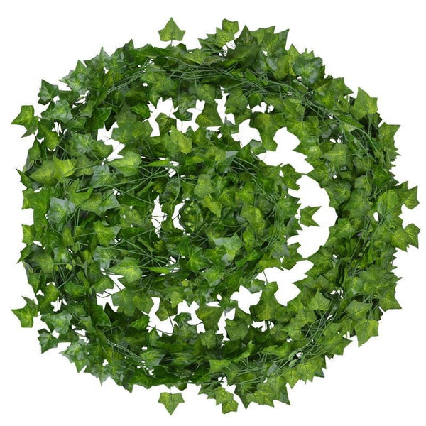 Zielone liście przez cały rok naturalny wygląd bez pielęgnacji
