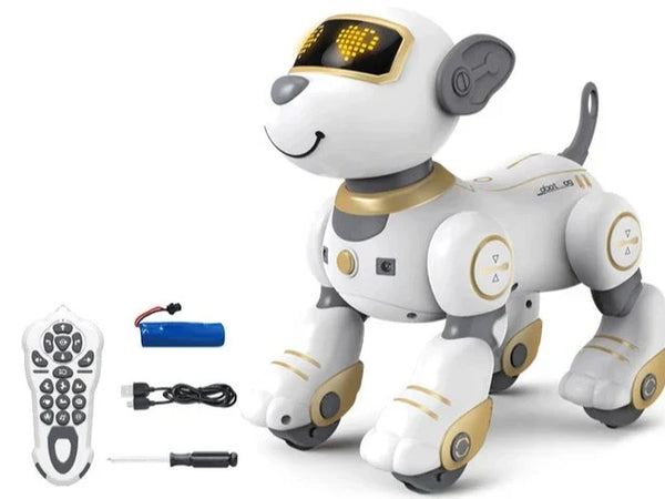 Stylowy robot-przyjaciel zwierząt dla nowoczesnych domów