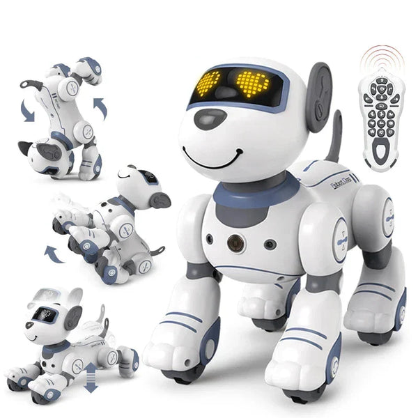 Stylowy robot-przyjaciel zwierząt dla nowoczesnych domów