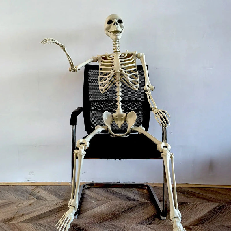 Ruchomy szkielet ludzki 90–165 cm — realistyczna dekoracja na Halloween i imprezy grozy