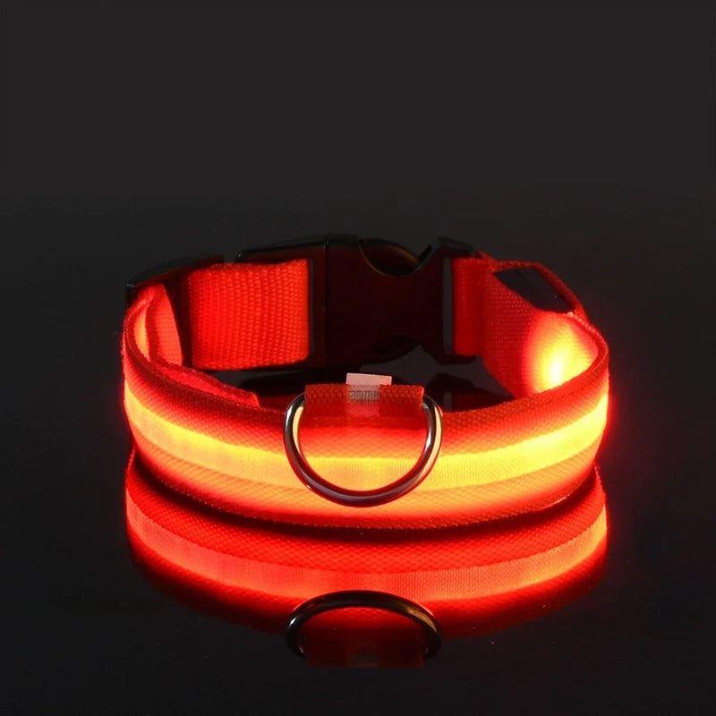 Fluorescencyjna LED Obroża Dla Psa Na Bezpieczne Wieczorne Spacery