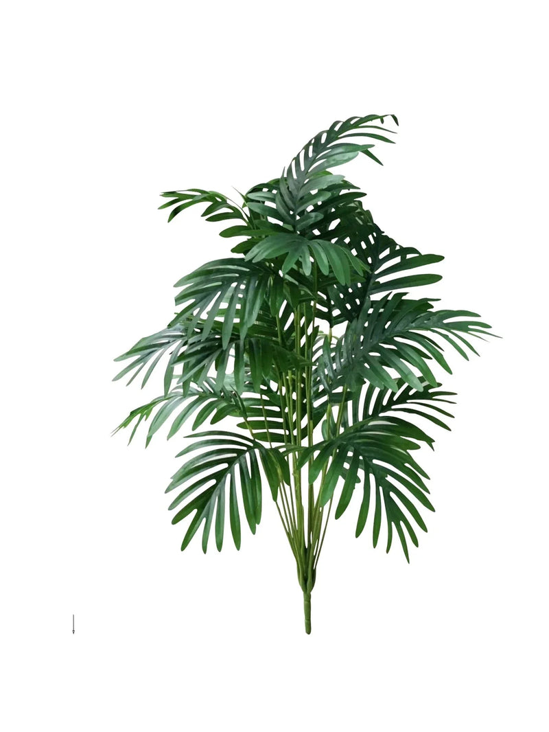 Luksusowa Roślina z Tropikalnym Akcentem