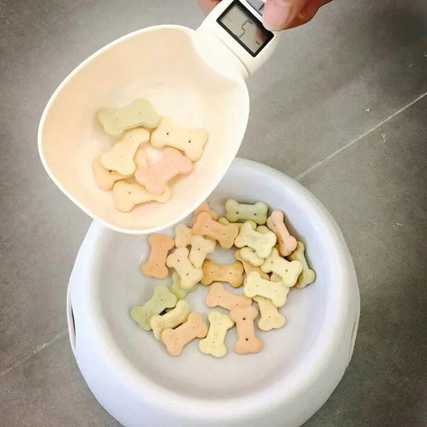 Nowoczesne narzędzie do monitorowania wagi