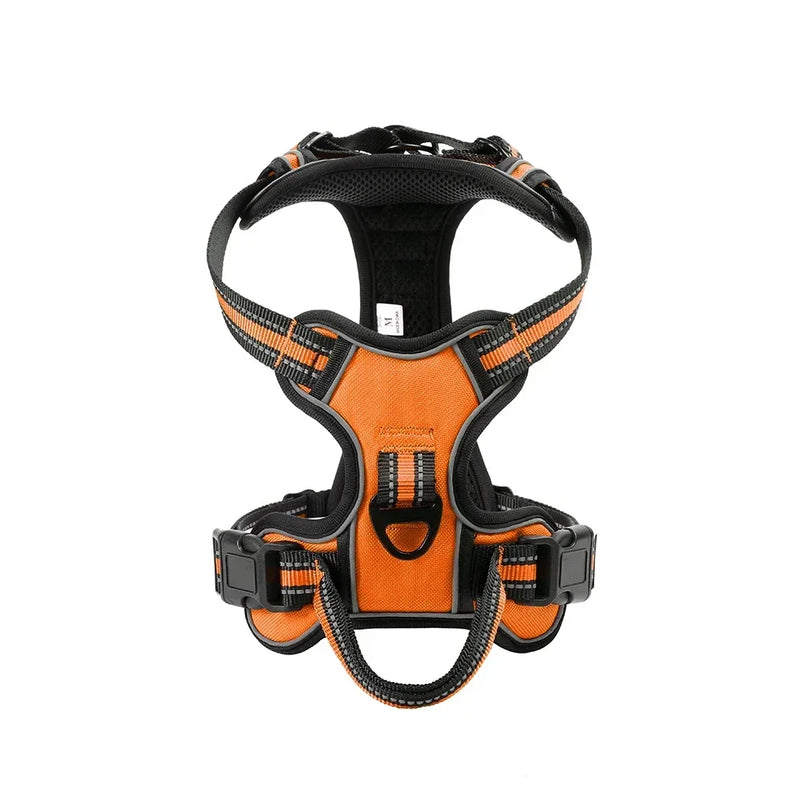 Wygodne i Elastyczne Szelki dla Twojego Psa