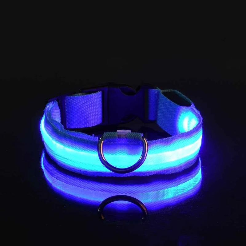 Fluorescencyjna LED Obroża Dla Psa Na Bezpieczne Wieczorne Spacery