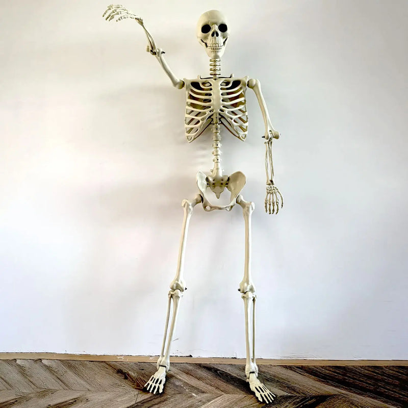 Ruchomy szkielet ludzki 90–165 cm — realistyczna dekoracja na Halloween i imprezy grozy