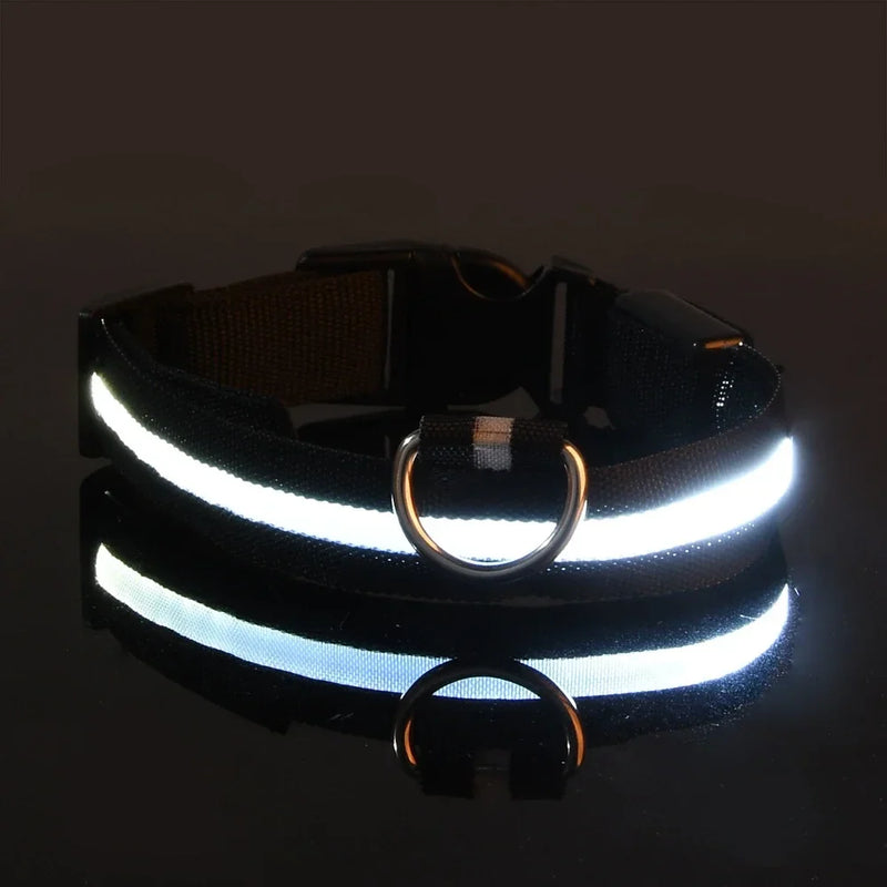 Fluorescencyjna LED Obroża Dla Psa Na Bezpieczne Wieczorne Spacery