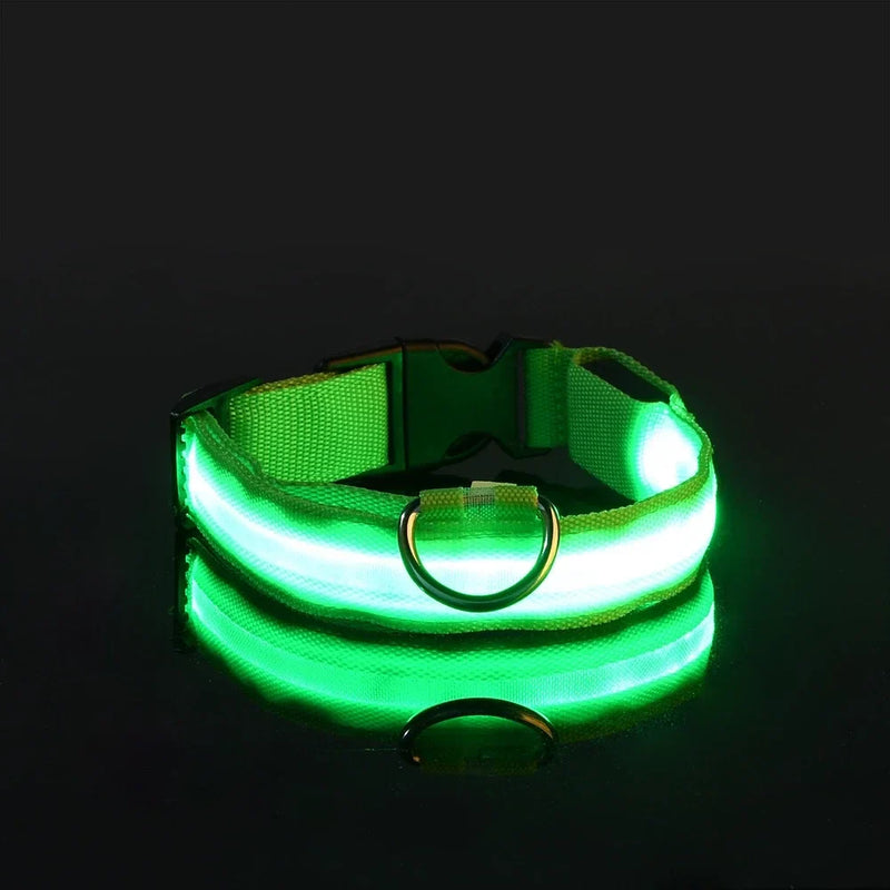 Fluorescencyjna LED Obroża Dla Psa Na Bezpieczne Wieczorne Spacery