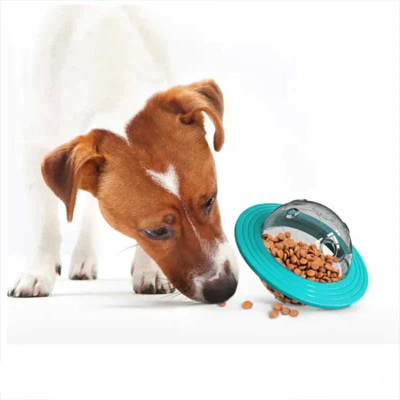 Rozwijaj umiejętności poprzez zabawę