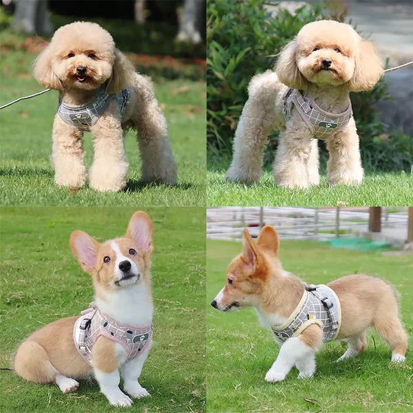 Oddychający Odblaskowy Harnas