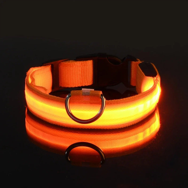 Fluorescencyjna LED Obroża Dla Psa Na Bezpieczne Wieczorne Spacery