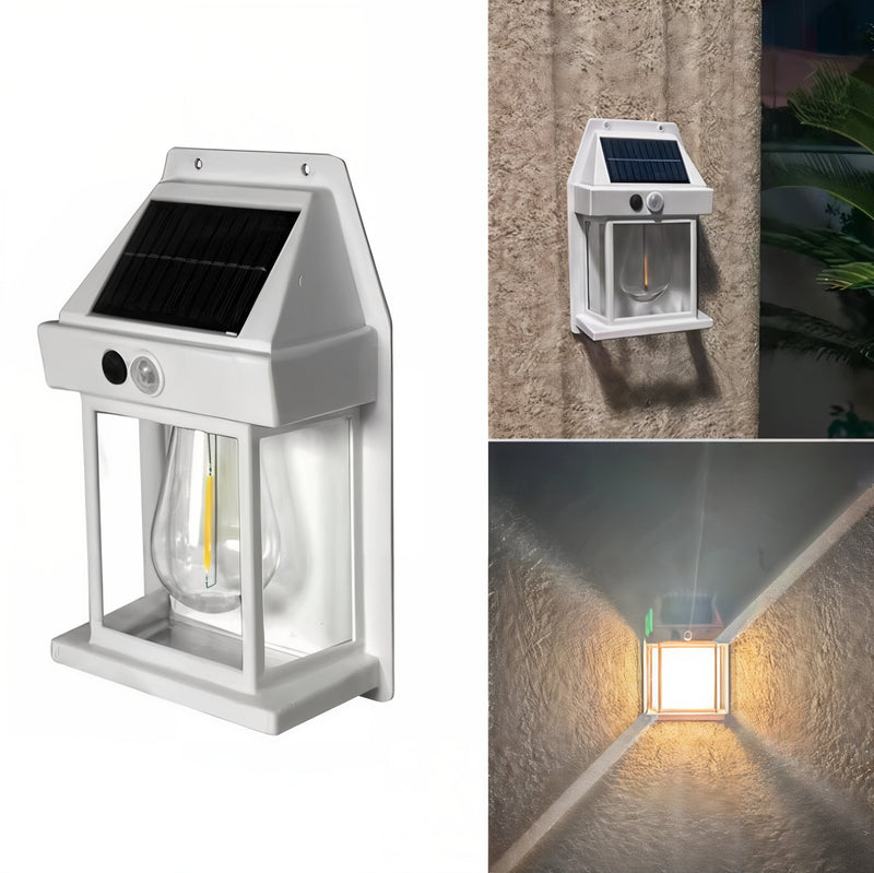 Naturalna poświata w ogrodowej przestrzeni