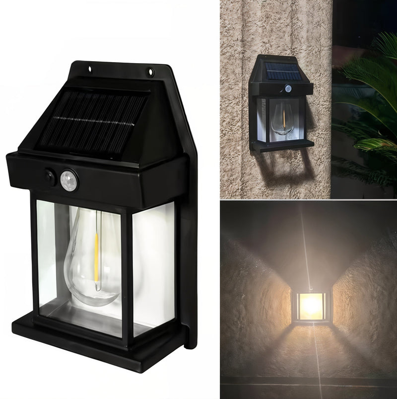 Naturalna poświata w ogrodowej przestrzeni