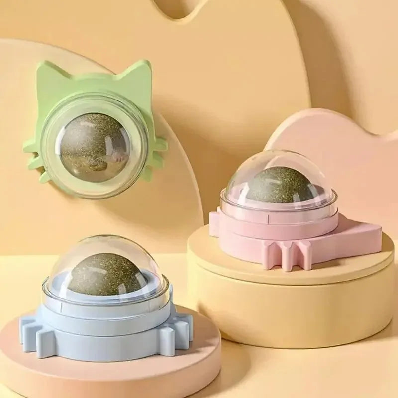 Interaktywna Piłka dla Kota na Zdrowie i Radość