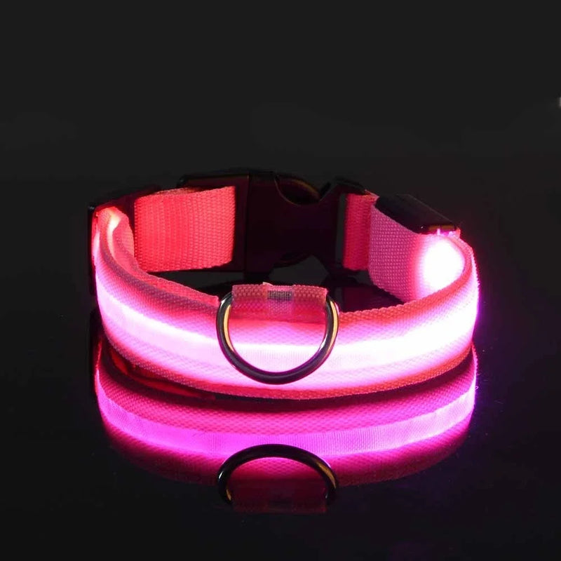 Fluorescencyjna LED Obroża Dla Psa Na Bezpieczne Wieczorne Spacery
