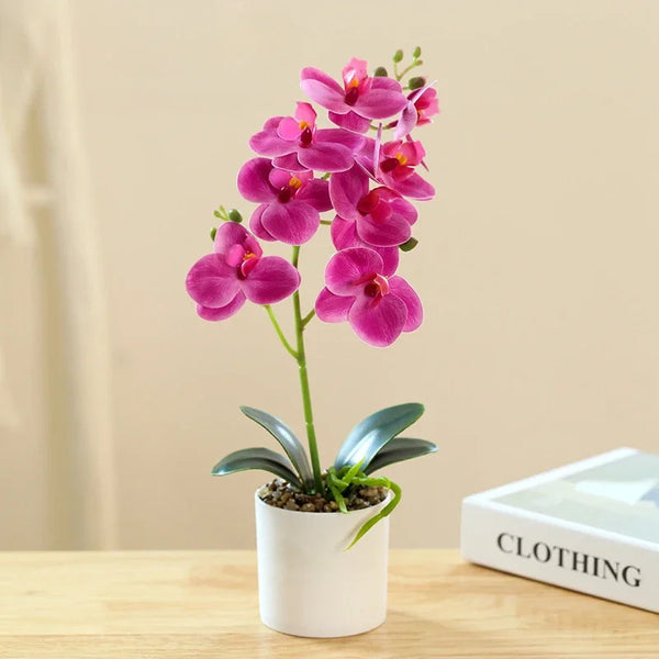 Wieczna orchidea dla stylowego wnętrza