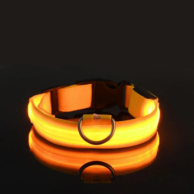 Fluorescencyjna LED Obroża Dla Psa Na Bezpieczne Wieczorne Spacery
