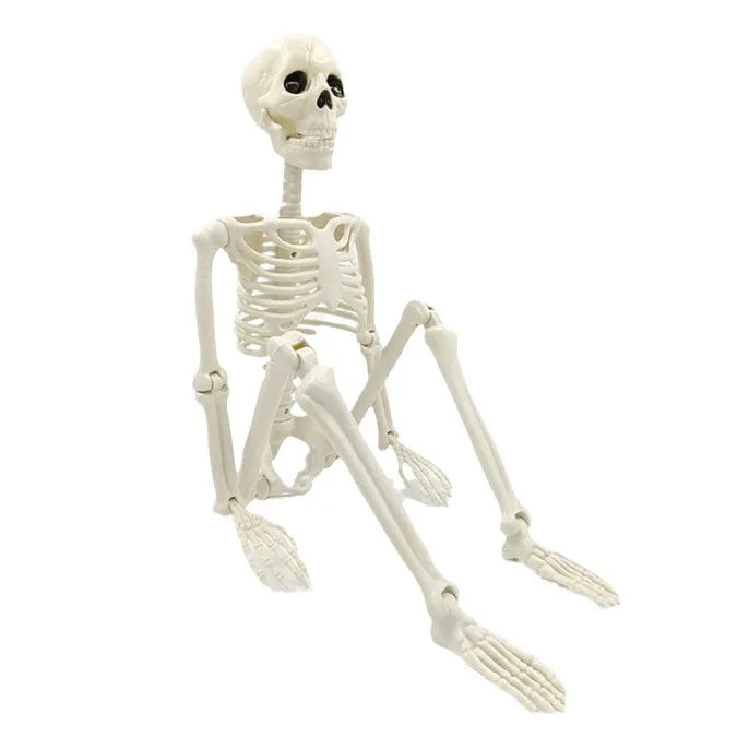 Ruchomy szkielet ludzki 90–165 cm — realistyczna dekoracja na Halloween i imprezy grozy