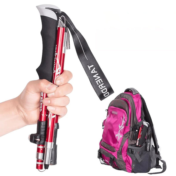 Regulowane Kijki Trekkingowe z Ergonomicznym Uchwytem