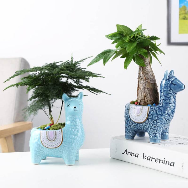 Ceramiczne Doniczki Alpaka dla Twoich Roślin