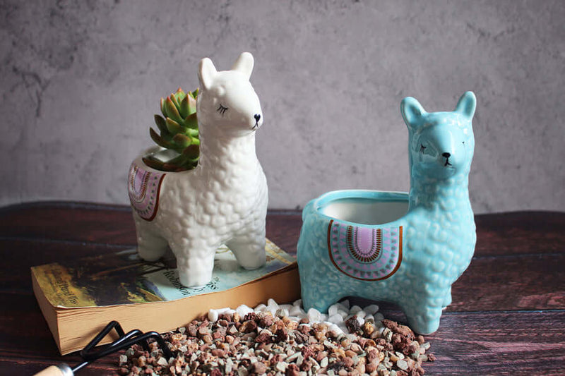 Ceramiczne Doniczki Alpaka dla Twoich Roślin