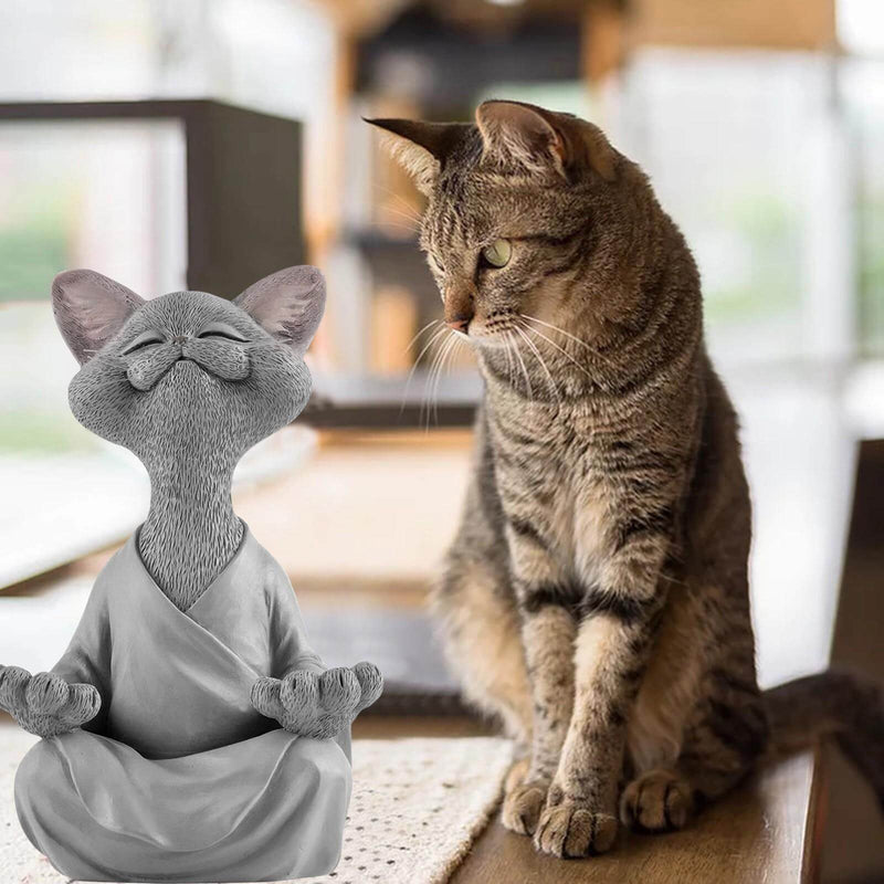 Kot buddyjski z medytacyjnym wyrazem i duchowym przesłaniem