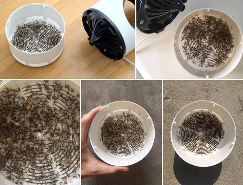 Ochrona przed komarami bez chemii