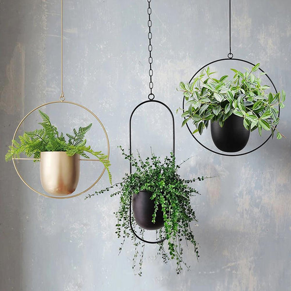 Stylowe zawieszenie roślin w minimalistycznym designie!