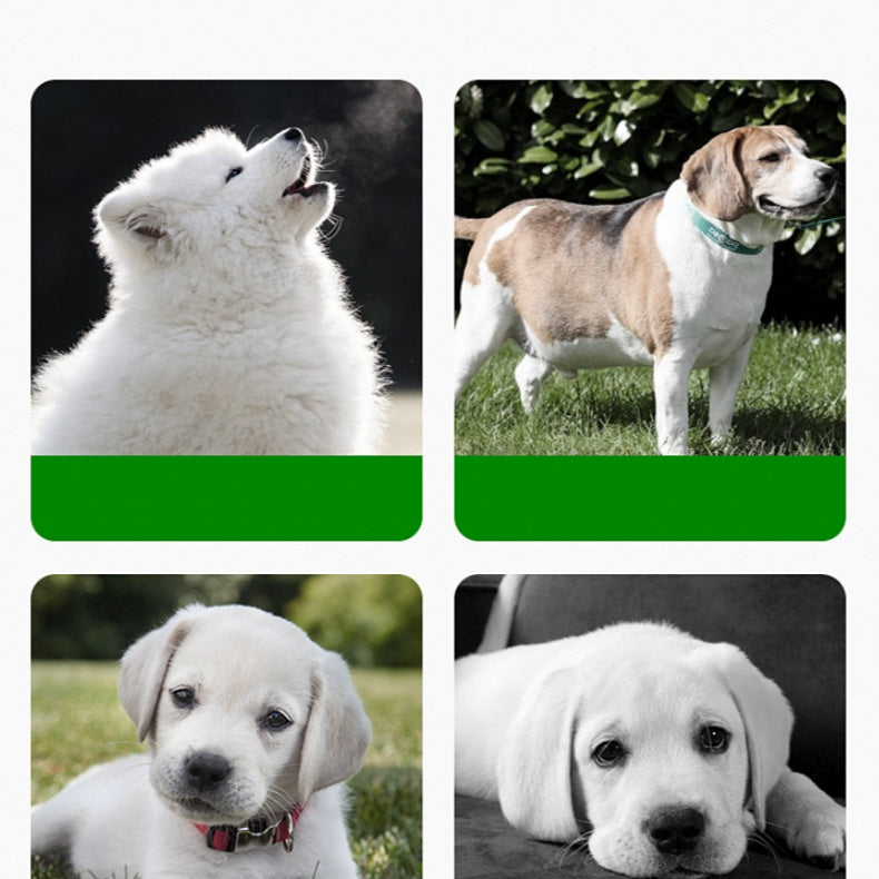 Innowacyjna Mata Silikonowa do Karmienia Zwierząt