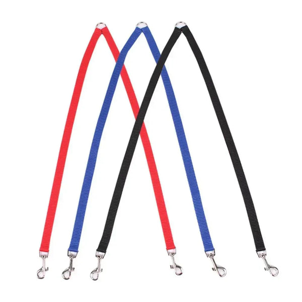 Przyjazna smycz dla dwóch czworonogów